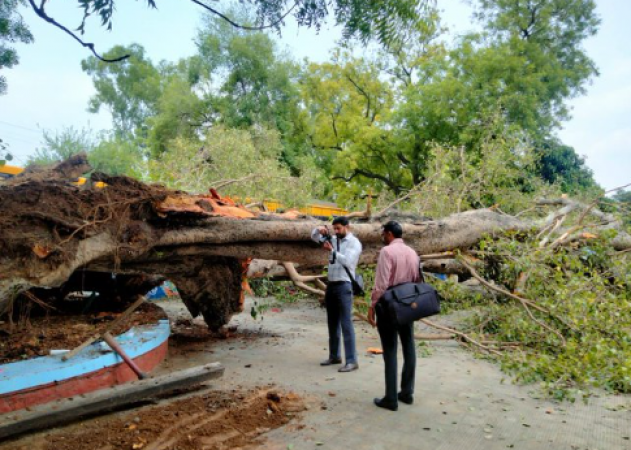 चंडीगढ़ के एक  स्कूल में पेड़ गिरने के कारण  एक छात्र की मौत, 12 घायल