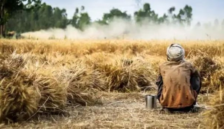 Karnataka Reports 1,182 Farmer Suicides in 15 Months Due to Drought, Crop Loss, and Debt