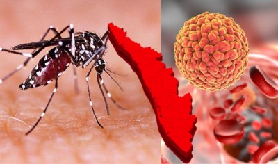 Zika Virus Alert: Mosquito in Chikkaballapur Tests Positive; Vigilance Heightened for Fever Cases and Pregnant Mothers