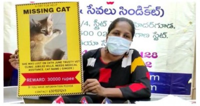हैदराबाद में गुम हुई बिल्ली को खोजने के लिए महिला ने की इनाम की घोषणा