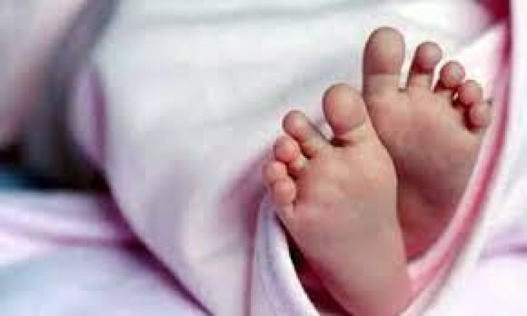 Elderly couple finds Newborn baby in bushes in Srikakulam, officials shift infant to the child care centre
