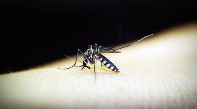 After Zika scare, Chennai administration plugs to stop dengue spread