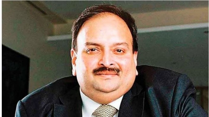 Mehul Choksi back in Antigua after getting bail, alleges kidnapping attempt by Indian agencies