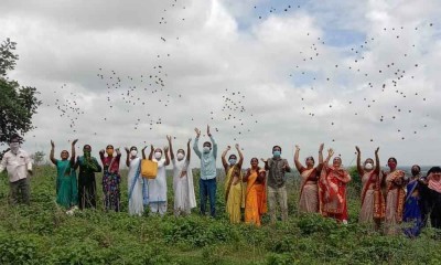 The seed balls hurled across the hilly areas in the Palamuru University