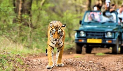 Indian Wildlife Sanctuaries: Preserving Nature's Diversity