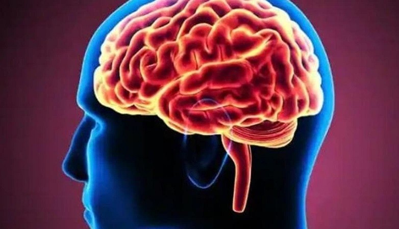 World Brain Day: Brain Health Clinic launched in Karnataka