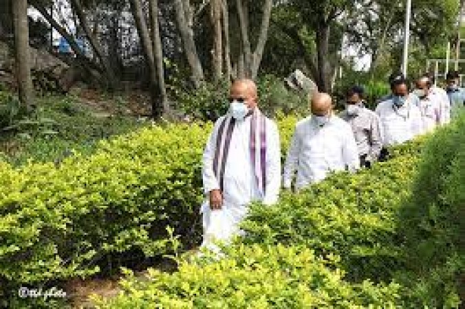 Landscapes shall be developed at all the visibility areas in Tirumala.