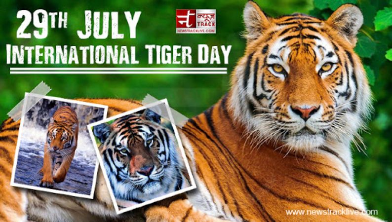 International Tiger Day: Raise voice to hear the roar