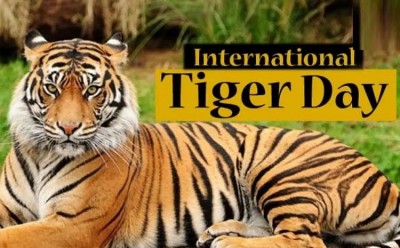 International Tiger Day: TN to host Global Tiger Summit in October
