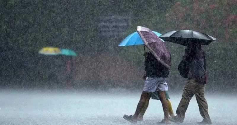 Heavy Rain Forces Closure of All Educational Institutions in Kasaragod, Kerala