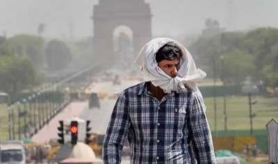 Delhi High Court Sounds Alarm on Record-High Temperatures, Warns of Desertification