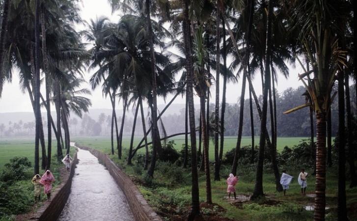 Southwest Monsoon advances further in East, Northeast India: IMD
