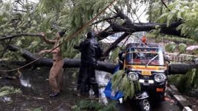 21 die as the monsoon hit up Kerala, alert till 15th June