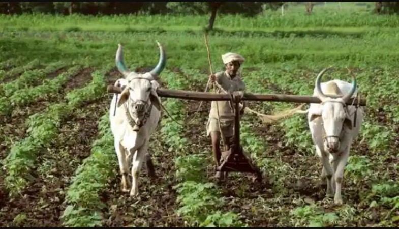 Special drive launched in UP to bring crop insurance to farmers