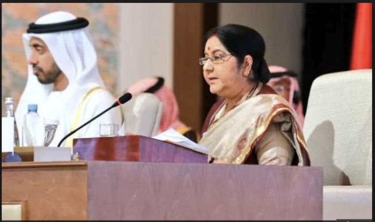 Sushma Swaraj over OIC criticism of India on Kashmir: ‘strictly internal’