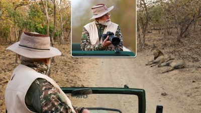 PM’s Gujarat visit: After Somnath Darshan, Narendra Modi goes for Jungle Safari in Gir on World Wildlife Day