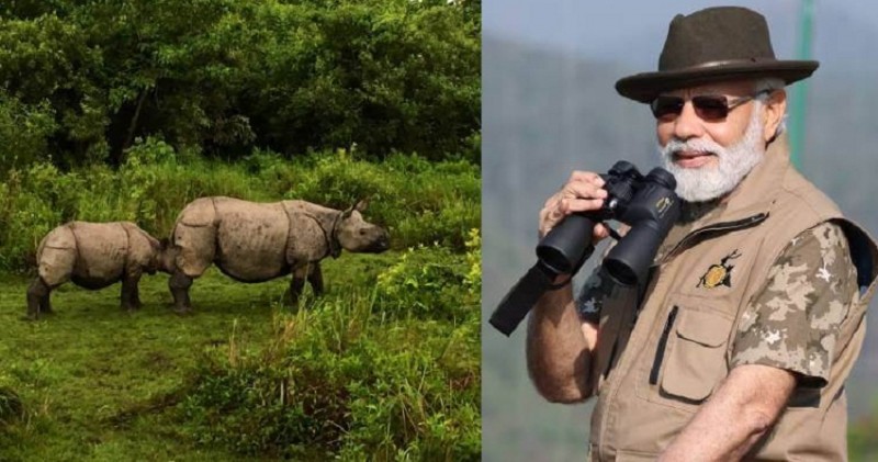 PM Modi Video: Safari Adventure at Kaziranga National Park in Assam