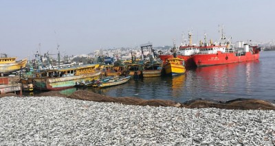 केंद्र ने मछली पकड़ने वाले बंदरगाहों के विकास के लिए तय किया 3,490 करोड़ रुपये का परिव्यय