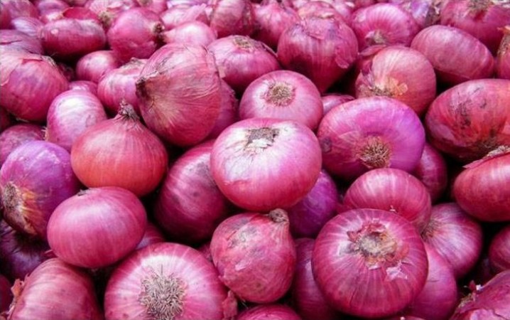 Potential Lift of Onion Export Ban Amid Dropping Prices: Report