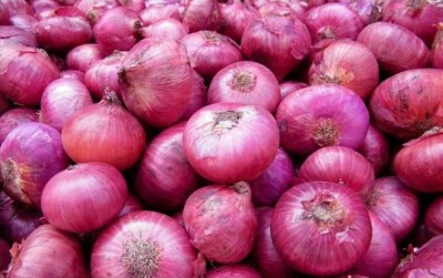 How Pakistan Seizes Opportunity in Onion Exports Amid India's Ban