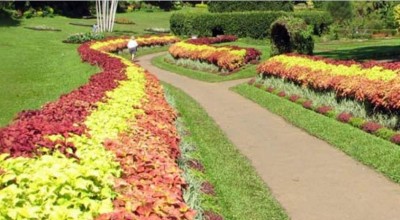 Tamil Nadu to set up Rs 300 cr Botanical garden