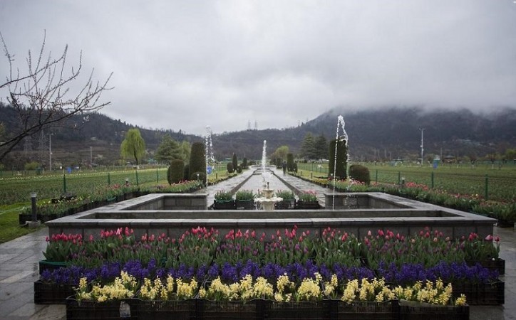 Kashmir Tourism: Srinagar’s Tulip Garden To Open For public