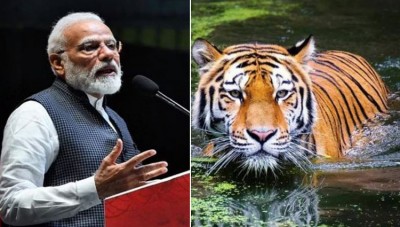 50 years of Project Tiger: PM to inaugurate 3-day mega event in Mysuru