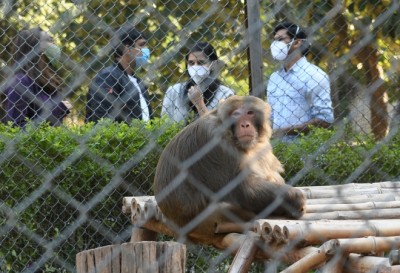 Amid corona active cases Chhatbir zoo to remain closed on Sundays till next order