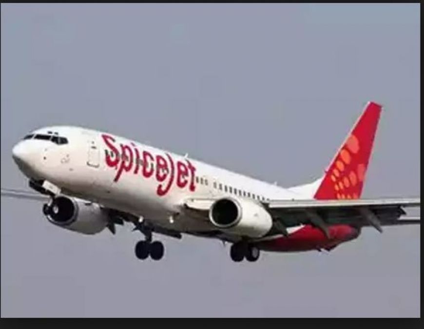 SpiceJet Introduced 12 new flights New Delhi and Mumbai