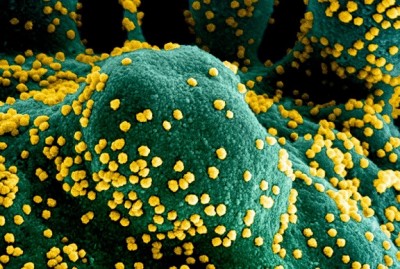 Govt gives Alerts!: Third Wave of Coronavirus Inevitable, Need to be Prepared