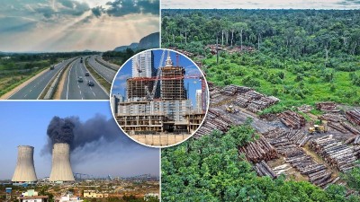 Green crisis: India's transformation leading to deforestation disaster