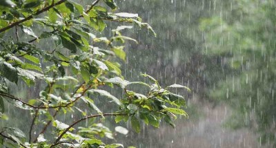 Southwest Monsoon Arrives in Kerala, Advances into Northeast India: IMD