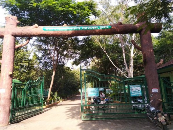 Indore: Rescue centre proposed at Ralamandal Sanctuary