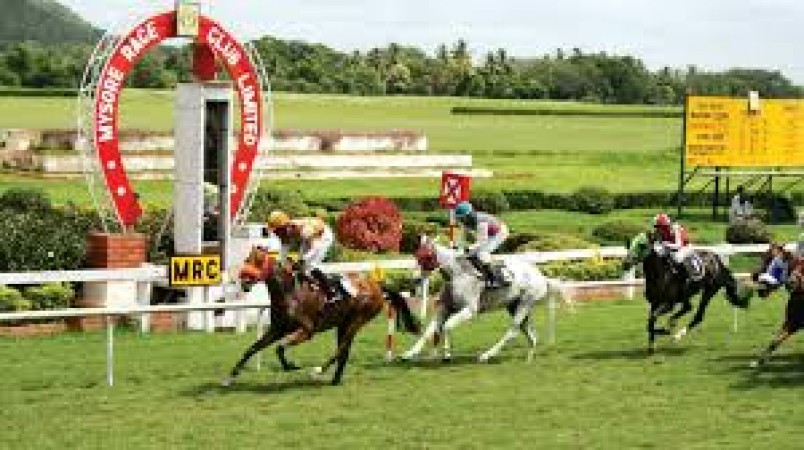 online horse race gambling laws
