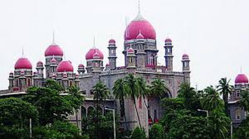 The Telangana High Court heard the petition on the land regularization