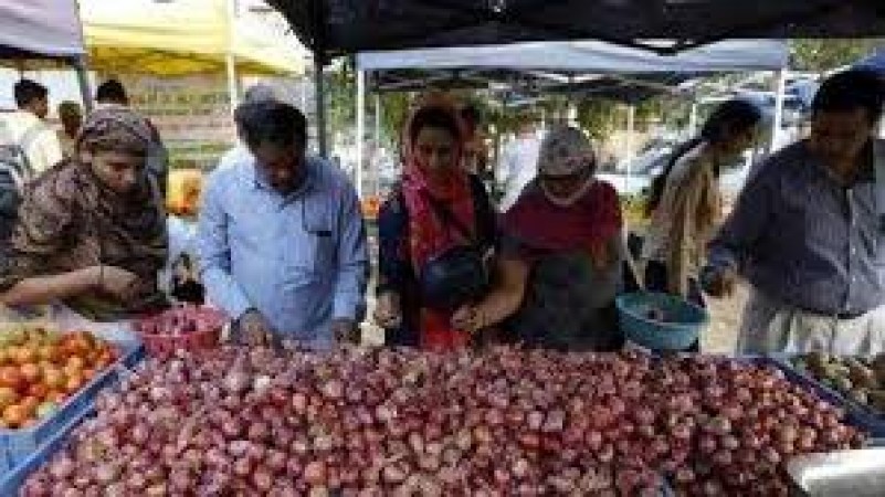 Onion prices are likely to fall in mid-January