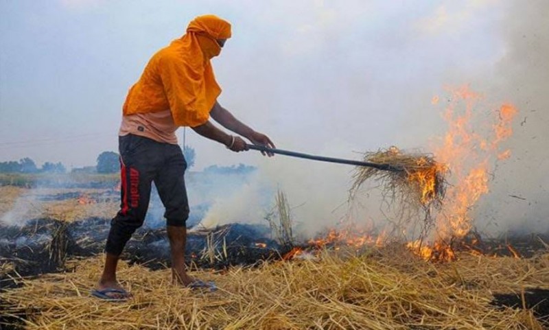 Farmers in Punjab, Haryana sensitised on stubble management