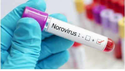केरल में नोरोवायरस के प्रकोप के बाद  कर्नाटक हाई अलर्ट पर