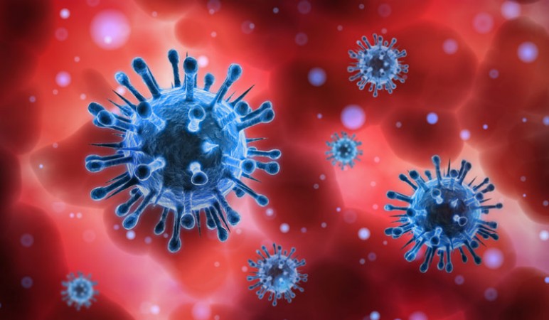 SARS-CoV-2 वायरस मानव कोशिकाओं पर एक रिसेप्टर से चिपक जाता है: अध्ययन