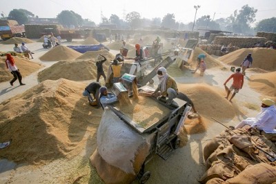 Govt's paddy procurement rises 18.8 pc so far, highest buy from Punjab