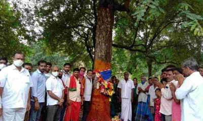 Vizianagaram: Trees were cut for Pidithalli Sirimanu celebrations
