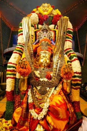 Malayappa Swamy embellished as Gita Krishna blesses devotees
