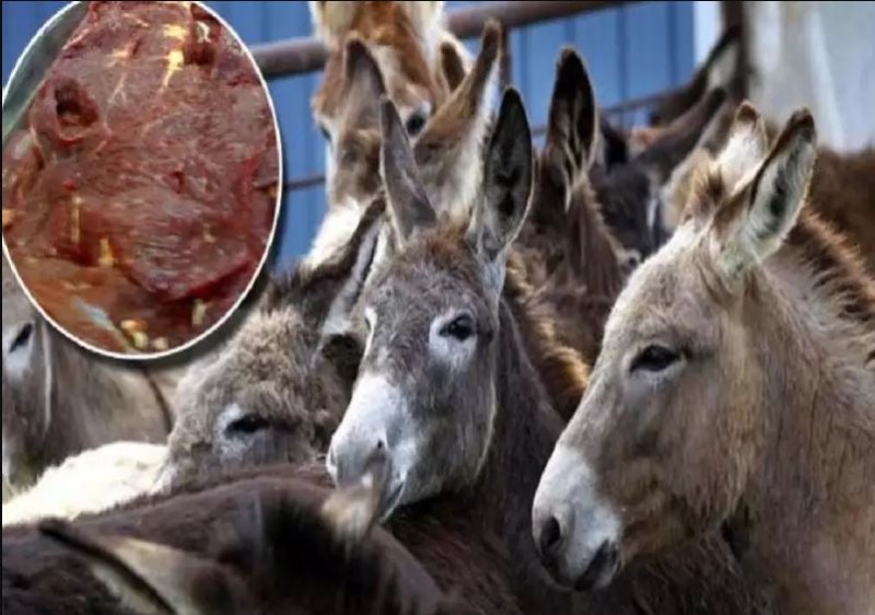 400 kilos of donkey flesh were seized in Andhra Pradesh