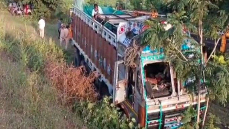 Lorry Carrying Endangered Crocodiles and Other Animals Overturns in Telangana