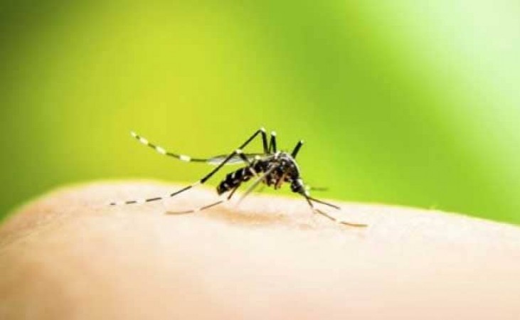 नई दिल्ली में हुई डेंगू से पहली मौत, जानिए क्या है संक्रमण का आंकड़ा
