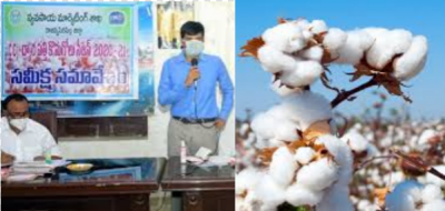 The TS government has arranged for farmers to buy cotton
