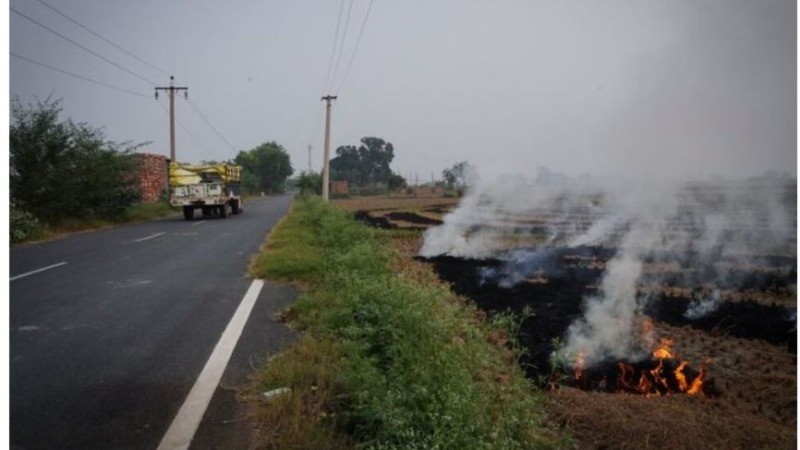 Air Pollution Crisis: How Many Farmers Arrested in India and Pakistan for Stubble Burning