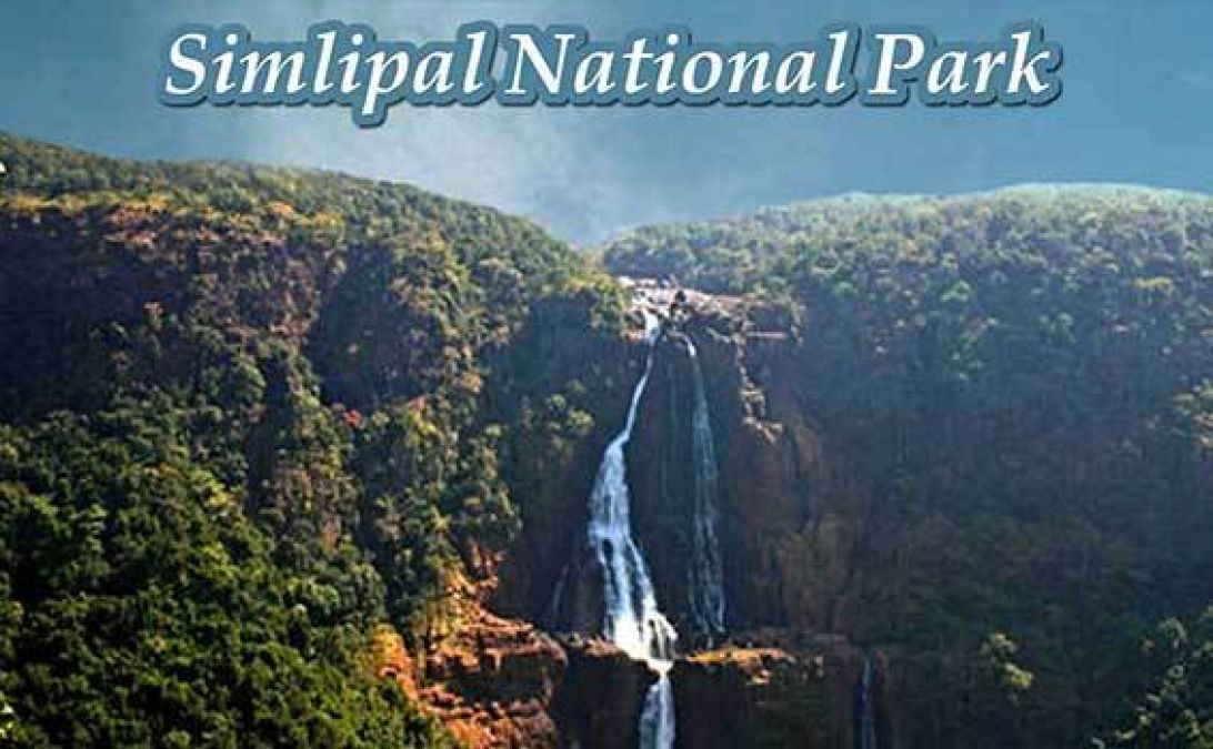Tourists will be able to visit Similipal National Park starting November 1st.