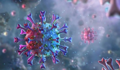 सगी शपीरा द्वारा किए गए एक शोध में हुआ बड़ा खुलासा, कोरोना वायरस है नकल के स्वामी