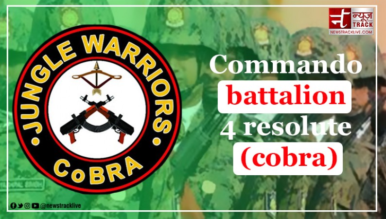 COBRA Battalion: The Elite Force in Jungle Warfare Celebrates 15 Years of Valor